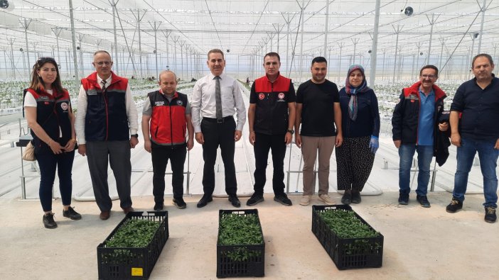 konyada-topraksiz-tarim-40-kisiye-istihdam-saglayacak-002.jpg
