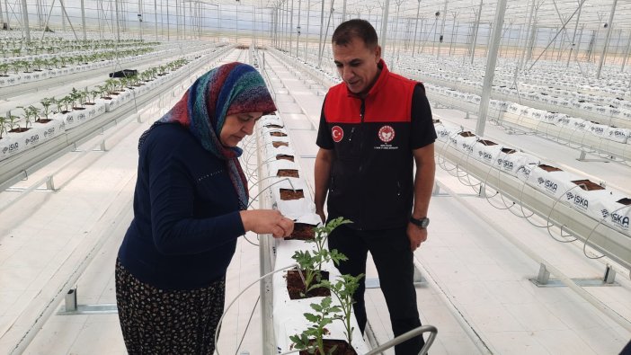 konyada-topraksiz-tarim-40-kisiye-istihdam-saglayacak.jpg