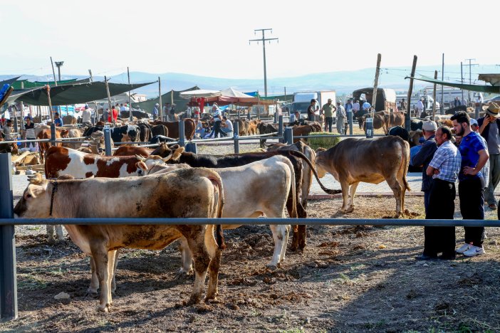 meram-kurban-satisi-ve-kesimi-icin-8-nokta-belirledi.jpg