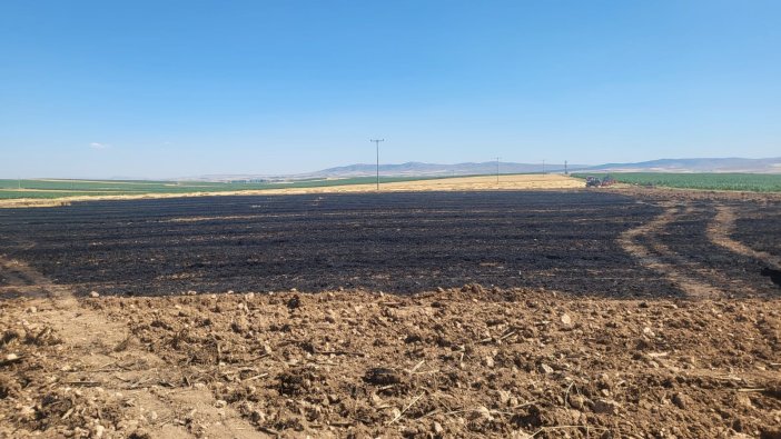 hasat-sonrasi-yangin-40-donumluk-arazi-alev-aldi.jpg