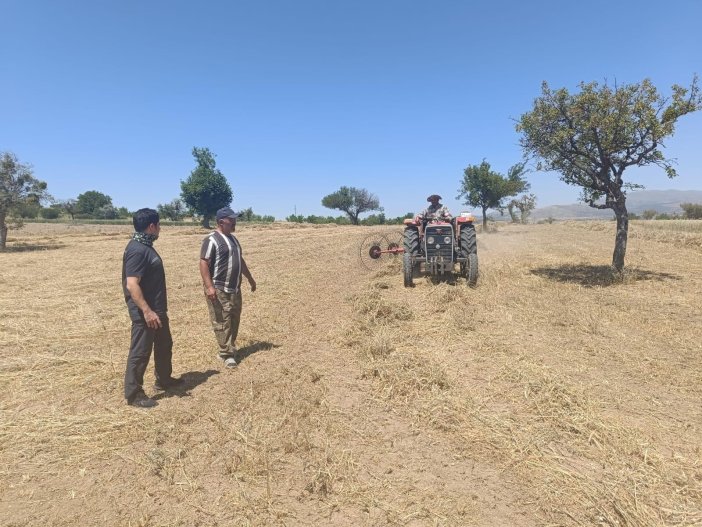 konyada-hibe-destegiyle-ekilen-arazilerde-hasat-devam-ediyor.jpg