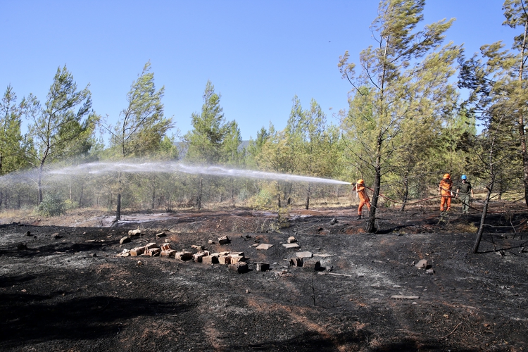yanginlara-karsi-39-bin-gonullu-sahada-mucadele-ediyor-002.jpg