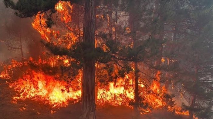 konya-doganhisardaki-orman-yangininda-flas-gelisme.jpg
