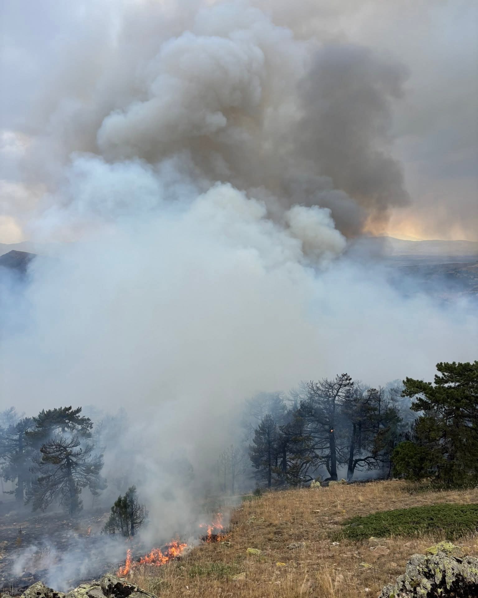 konyada-2-gundur-ormanlari-yanan-ilcede-yeni-umut-mucize-bu-001.jpg