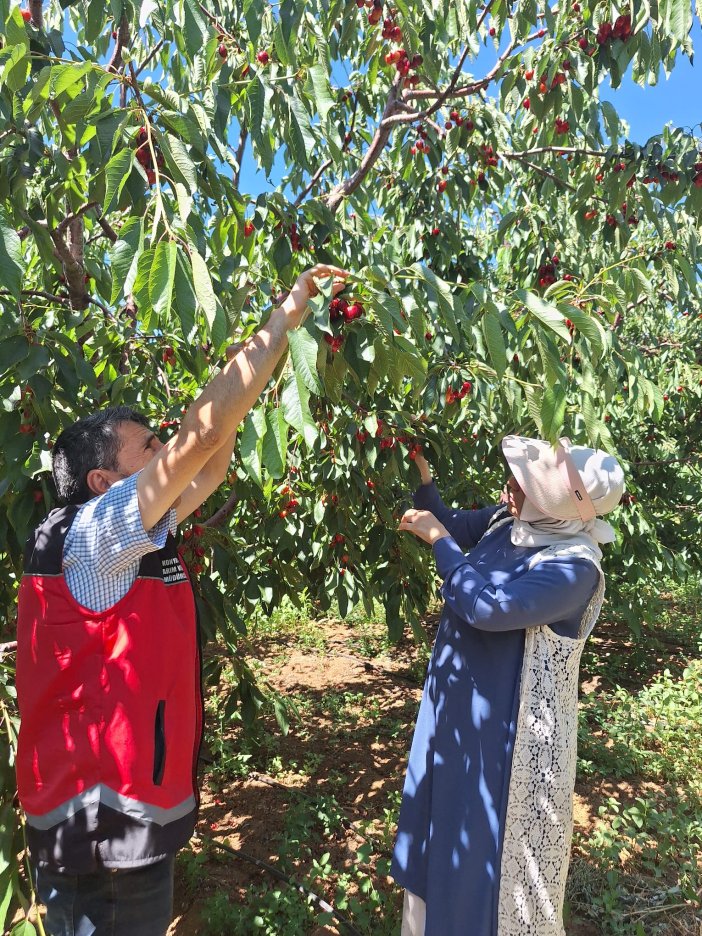 konyada-bu-yil-ates-pahasina-yiyecegimiz-meyve-icin-ekipler-sahada.jpg
