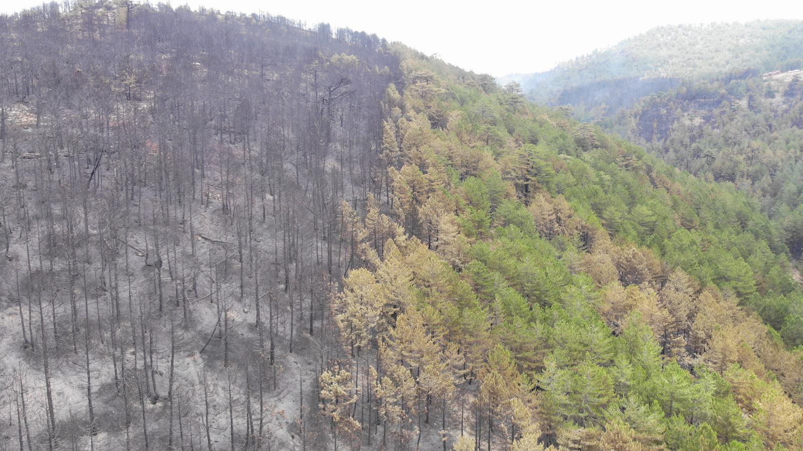konyadaki-orman-yangini-sonrasi-yurek-sizlatan-manzara.jpg