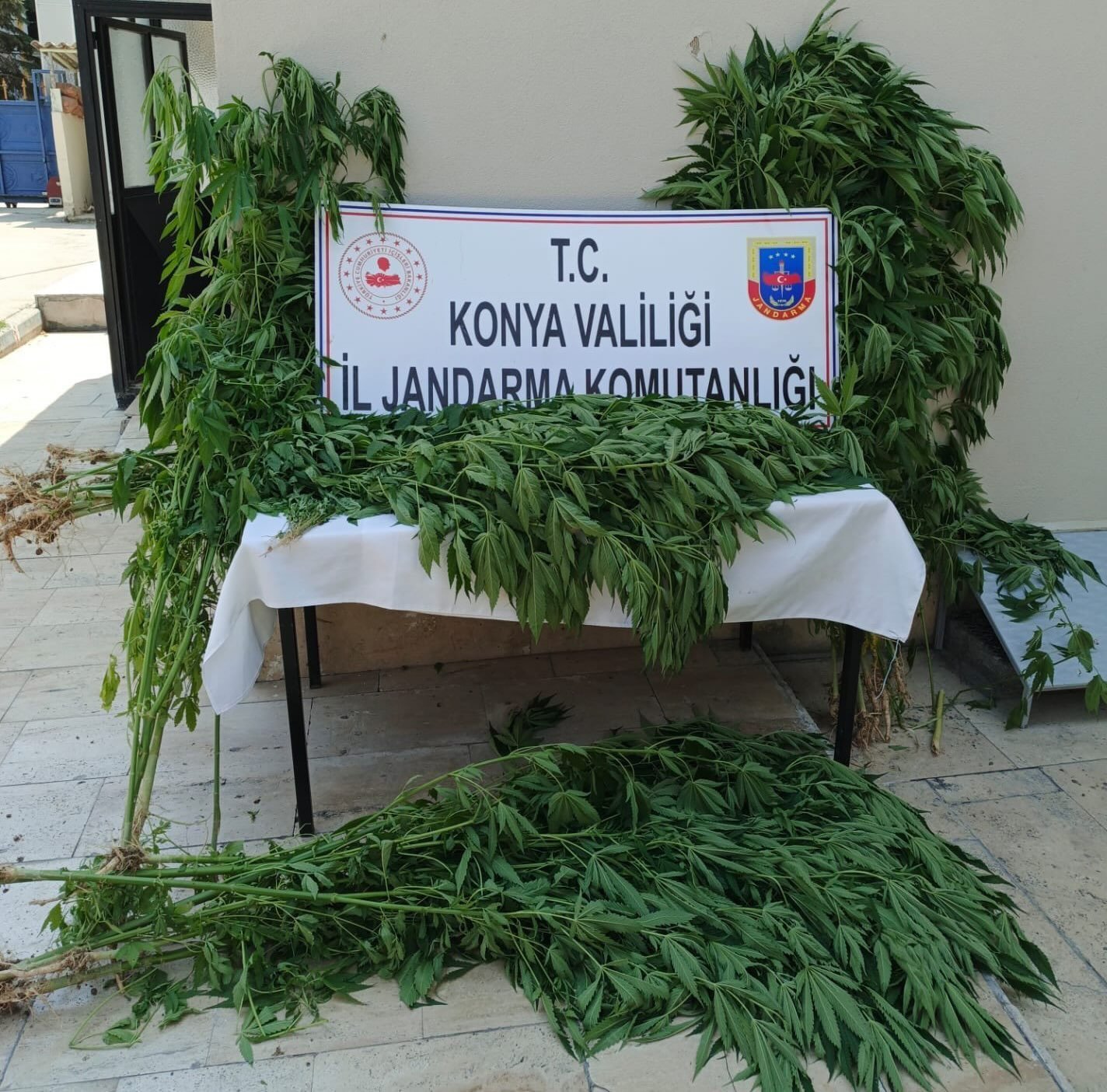 konyanin-2-ilcesinde-jandarmadan-zehir-tacirlerine-darbe.jpeg