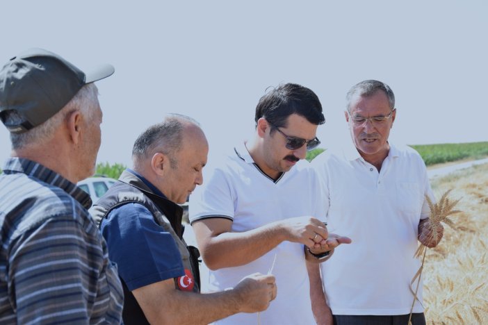 kaymakam-ozturk-direksiyona-gecti-karapinarin-son-bugdayini-bicti.jpg