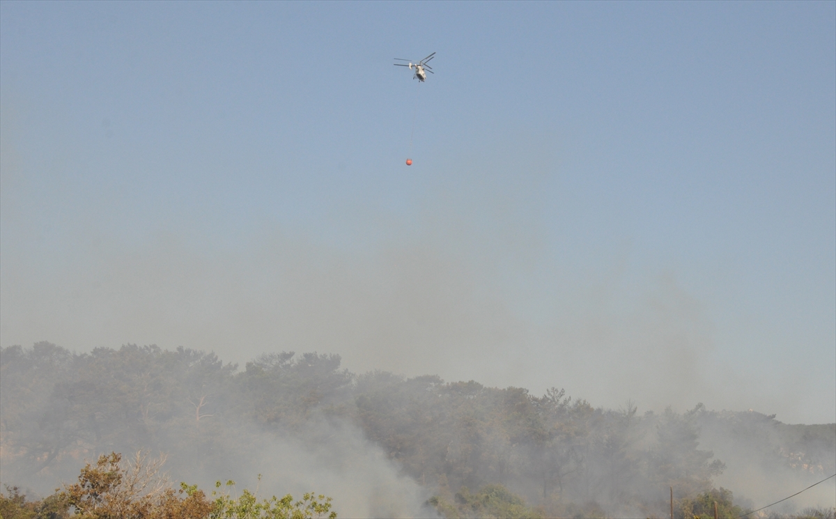 mersin-silifkede-orman-yangini-cikti.jpg