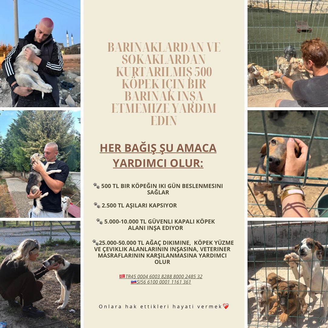 konyasporlu-blaz-kramer-sokak-kopekleri-icin-harekete-gecti.jpg