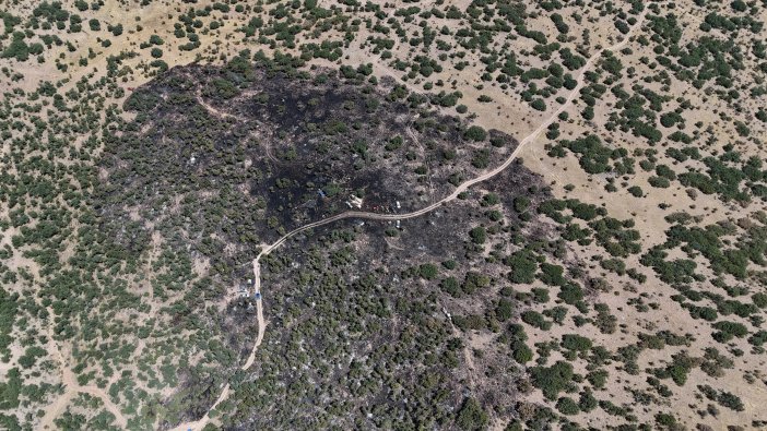 konyada-agaclik-alanda-yangin-cikti.jpeg