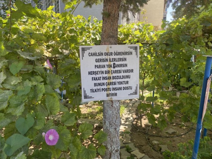 bu-bahceye-girenler-hayat-dersi-almadan-cikmiyor.jpg