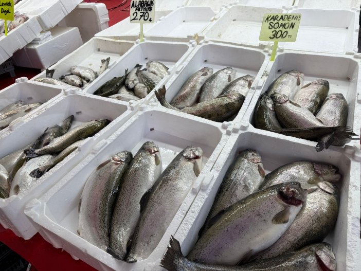 deniz-olmayan-konyada-gunluk-balik-satiliyor-iste-yeni-sezon-fiyatlari-007.jpeg