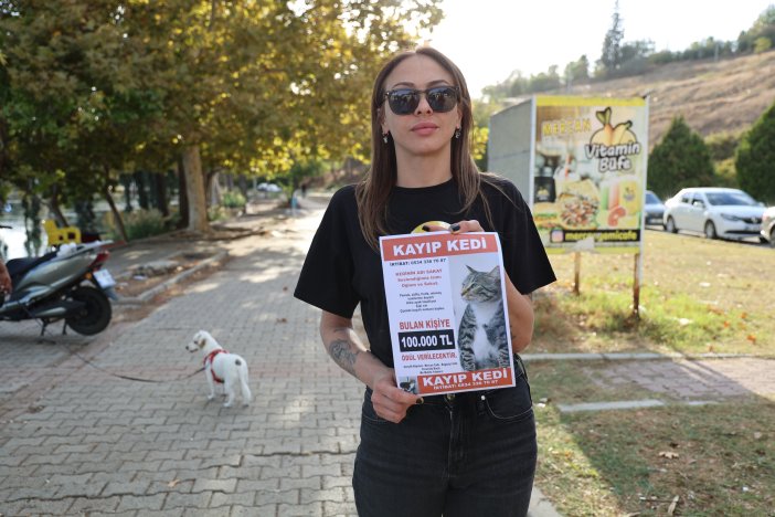 uc-gundur-kedisini-ariyor-bulana-100-bin-tl-odul-verecek.jpg