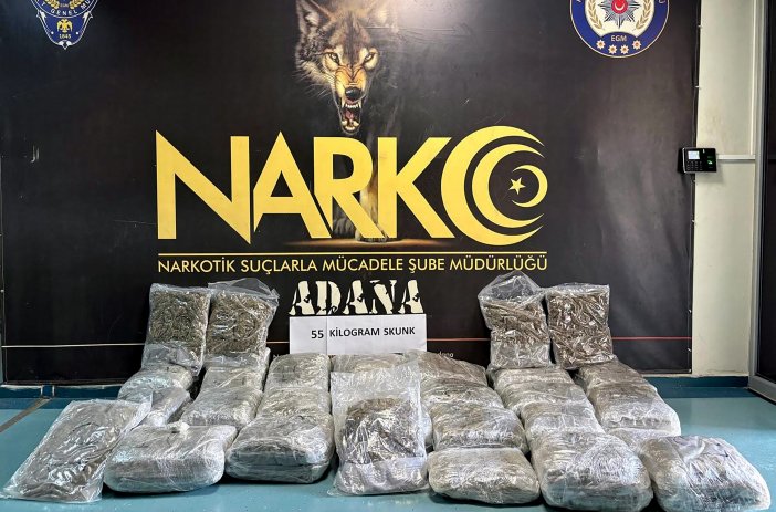arkadasinin-ricasini-kiramadi-tirindan-3-valiz-skunk-cikti-003.jpg