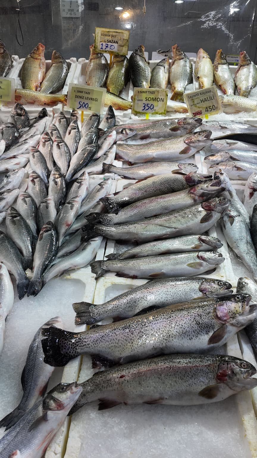 konyada-balik-tezgahlari-bereketlendi-fiyatlar-dustu-005.jpeg