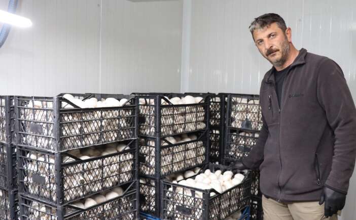 konya-kompostuyla-yilda-80-ton-mantar-uretiyor-talebe-yetisemiyor-erzurum