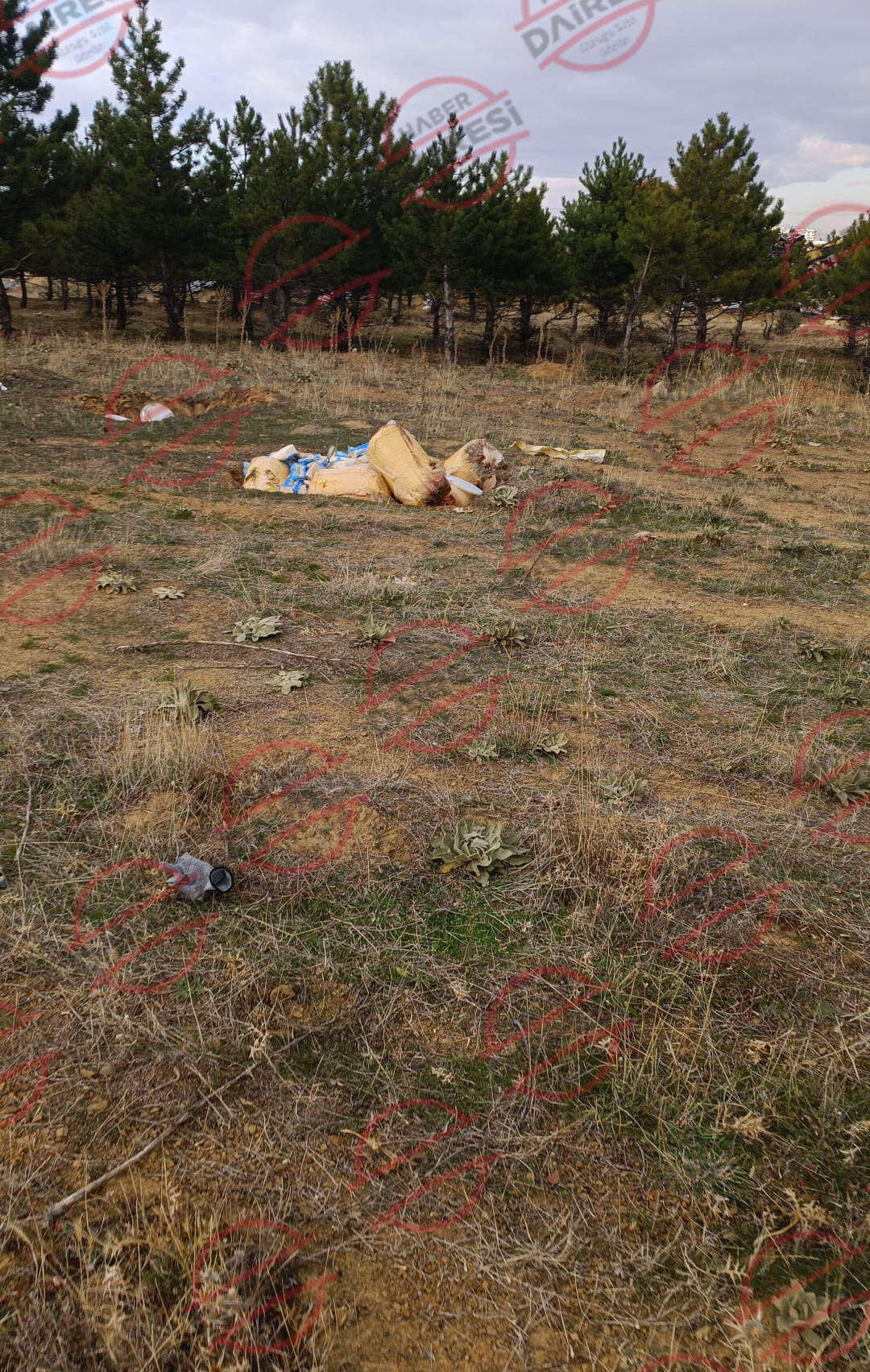 konyada-sok-goruntu-dogaseverler-yuruyuste-buldu