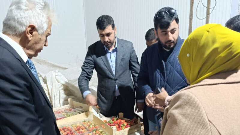 konyadan-cilek-gonderilen-ulkenin-buyukelcisi-huyukte