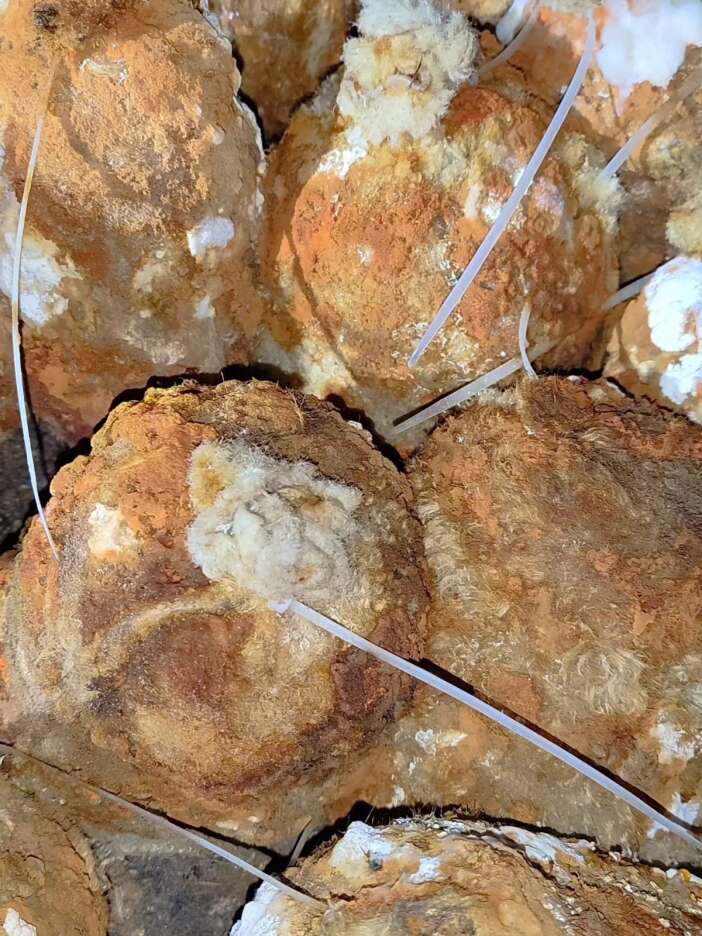 konyanin-tarihi-inlerinden-tarifsiz-lezzet-cikiyor