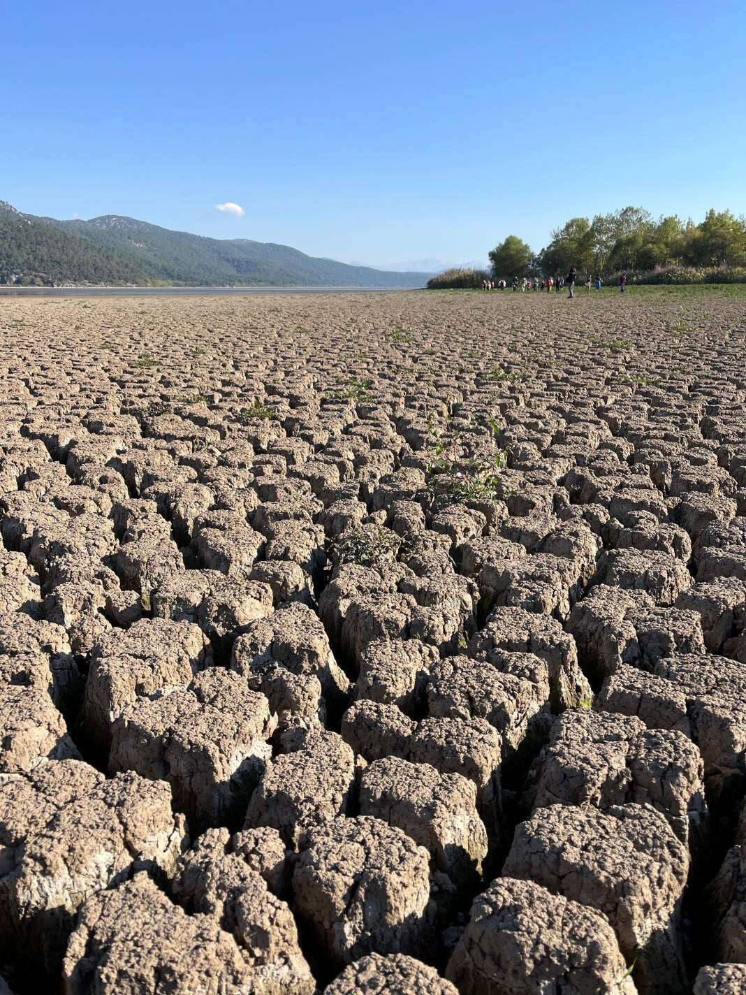 komsu-ile-su-takviyesi-gozleri-konyanin-can-cekisen-bolgesine-cevirdi