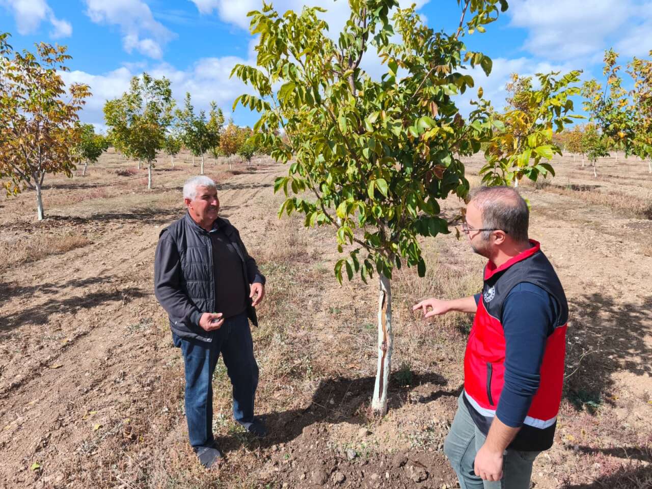 konyada-tuzaklar-kuruldu-hedef-sifir-kayip