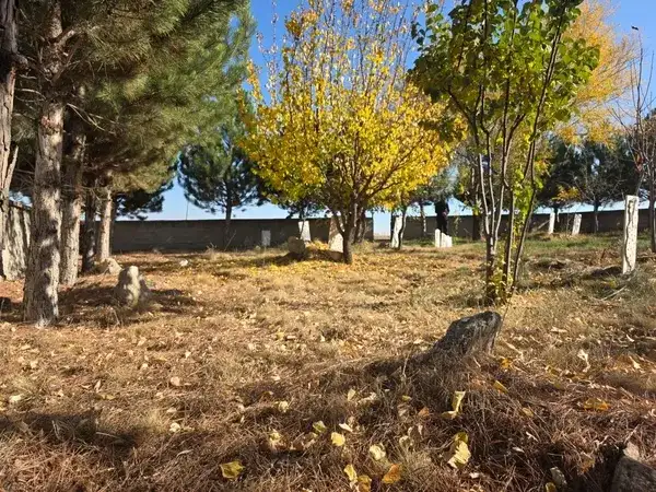 konyadaki-bu-mezarda-40-bebek-yatiyor-cennet-kuslari-ona-emanet-kulu