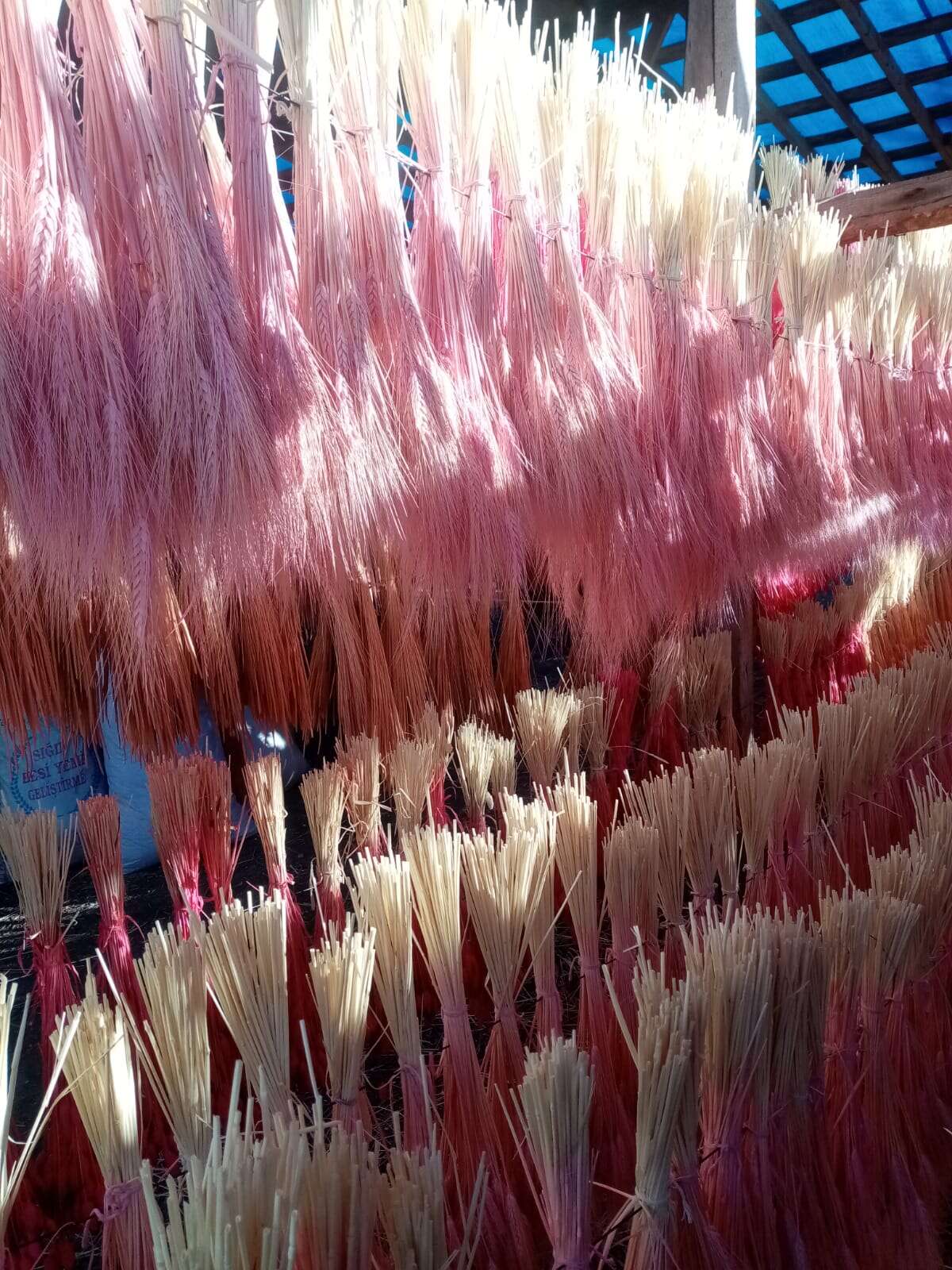 konyada-kimsenin-gorse-donup-bakmadigindan-para-kazaniyorlar-derebucak-kuru-ot