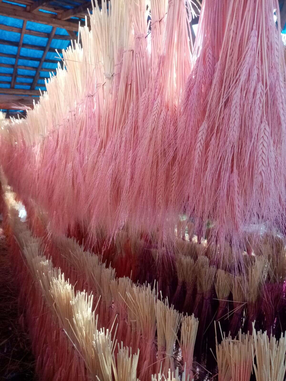 konyada-kimsenin-gorse-donup-bakmadigindan-para-kazaniyorlar-derebucak-kuru-ot