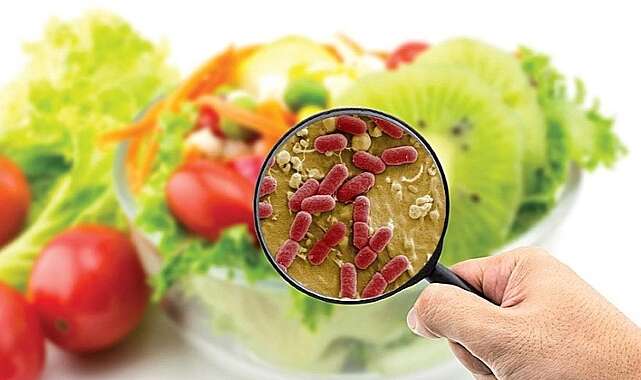 yediginizden-zehirlenmemek-icin-bunlara-dikkat-konyali-uzman-uyardi