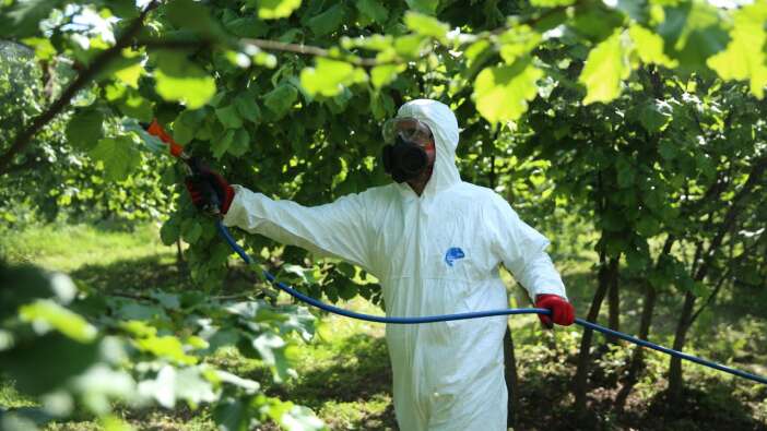 zehirlenme-vakalari-sonrasi-yeni-karar-zirai-ilaclar-recete-ile-satilacak