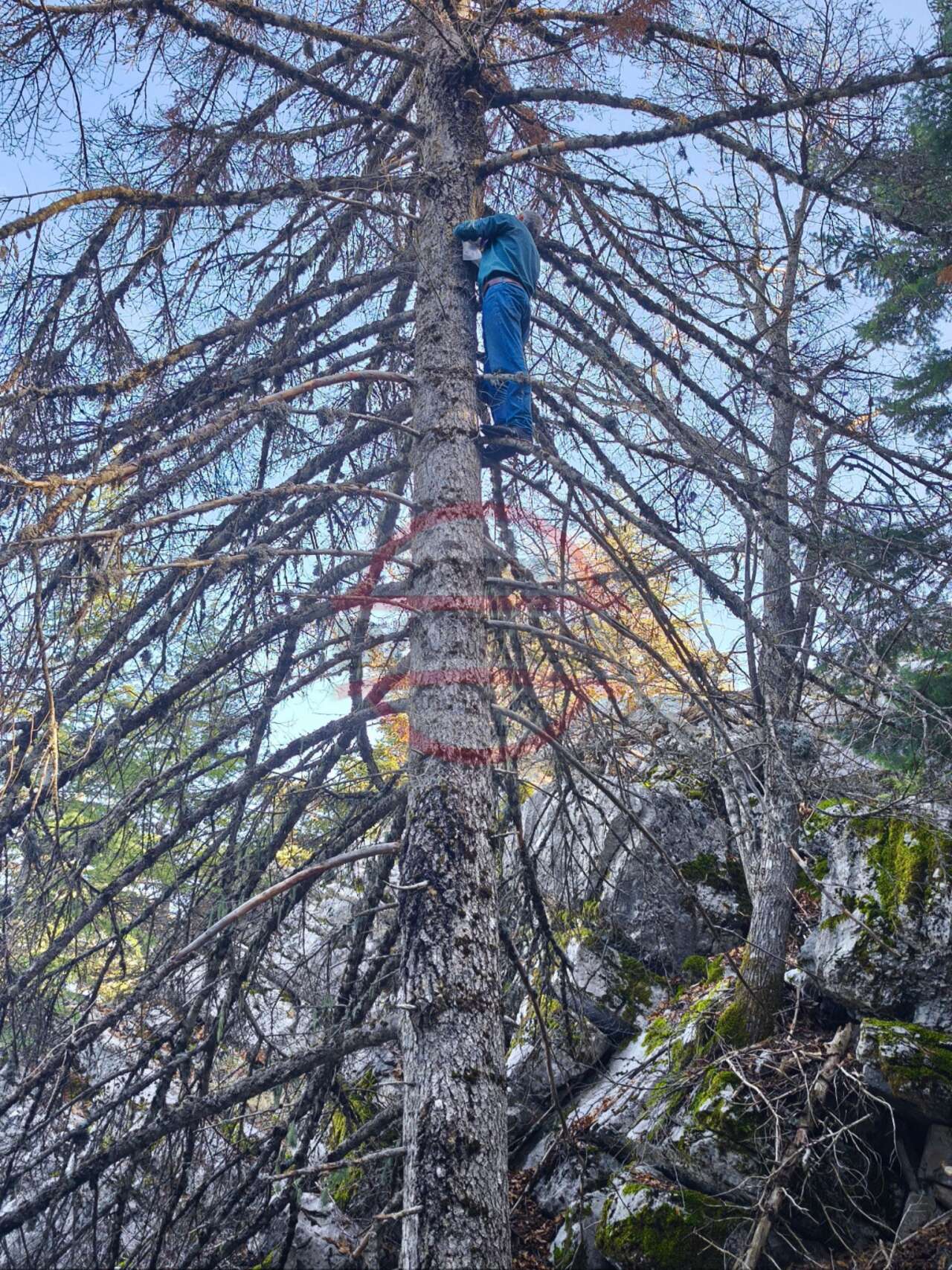 konyada-tehlikeli-av-hic-korkmuyorlar