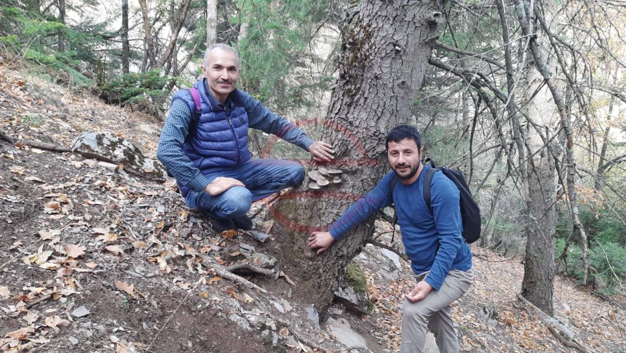 konyada-tehlikeli-av-hic-korkmuyorlarkonyada-tehlikeli-av-hic-korkmuyorlar