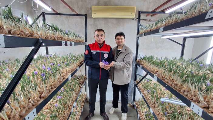 dunyanin-en-pahali-urununu-konyada-yetistiriyor-safran