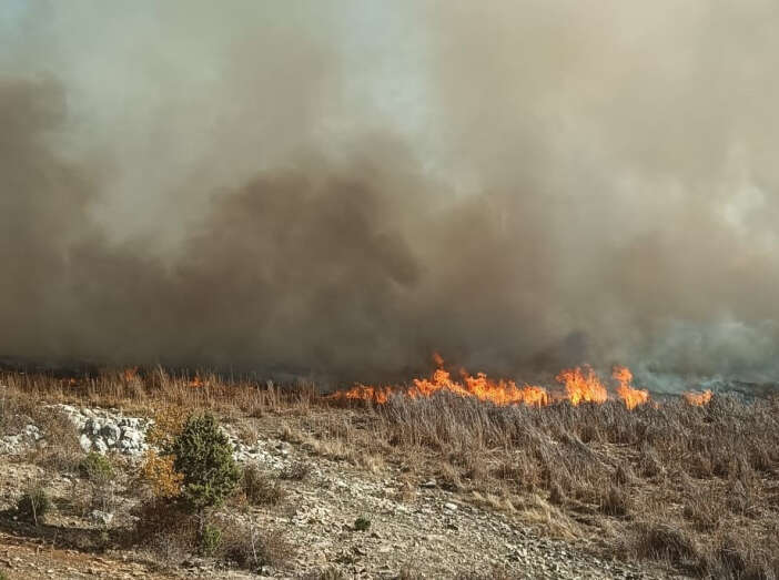 konyada-sazlik-yangini-ormanlik-alani-da-tehdit-etti-beysehir