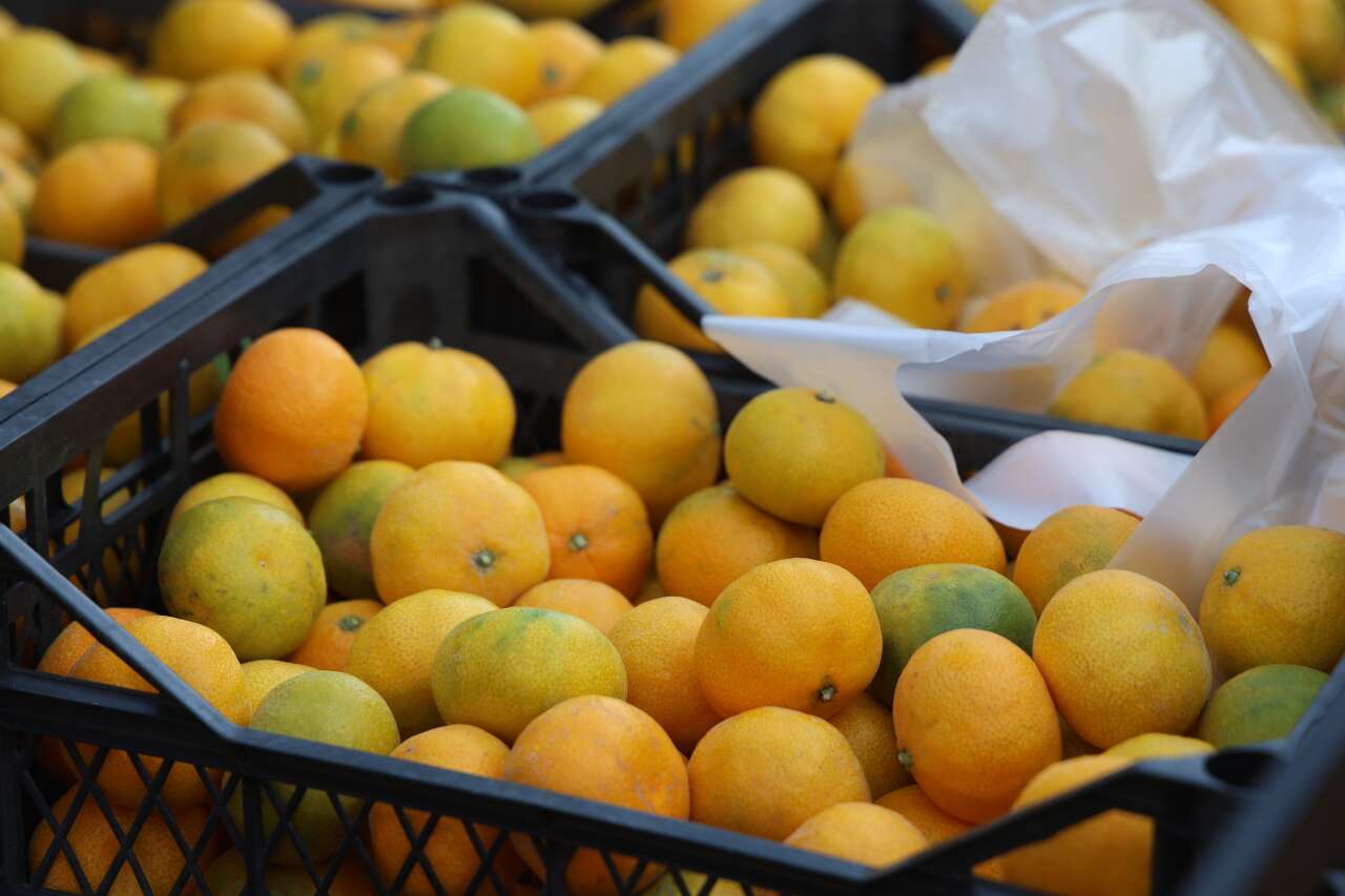 markette-30-tarlada-2-lira-tonlarca-urunu-ucretsiz-dagittilar