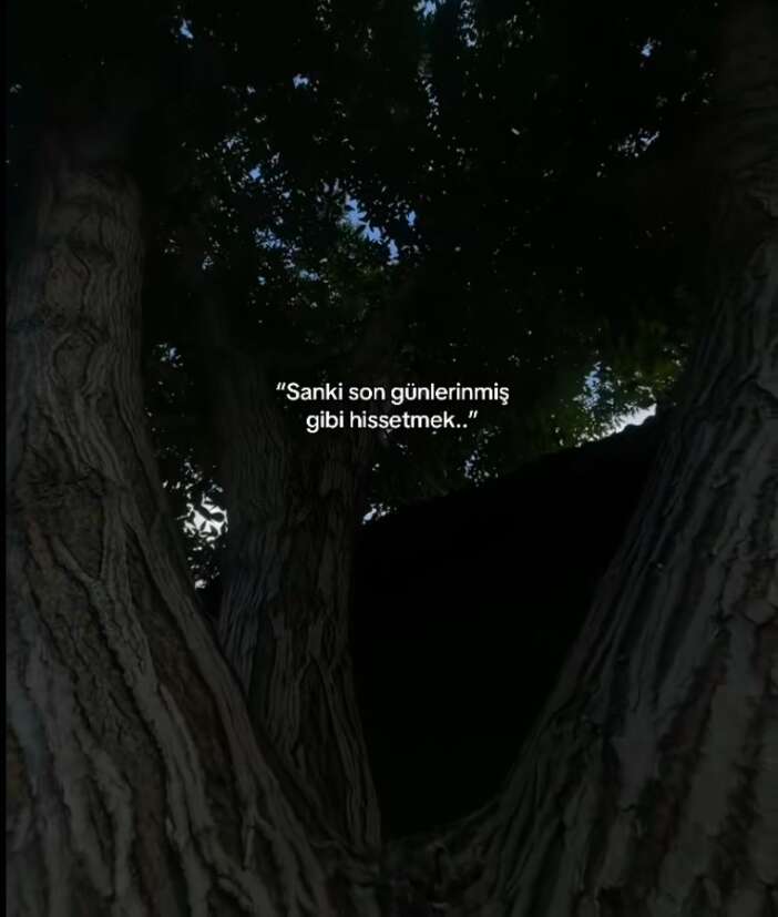 yurt-penceresinden-dusen-mizginin-olmeden-onceki-supheli-paylasimi