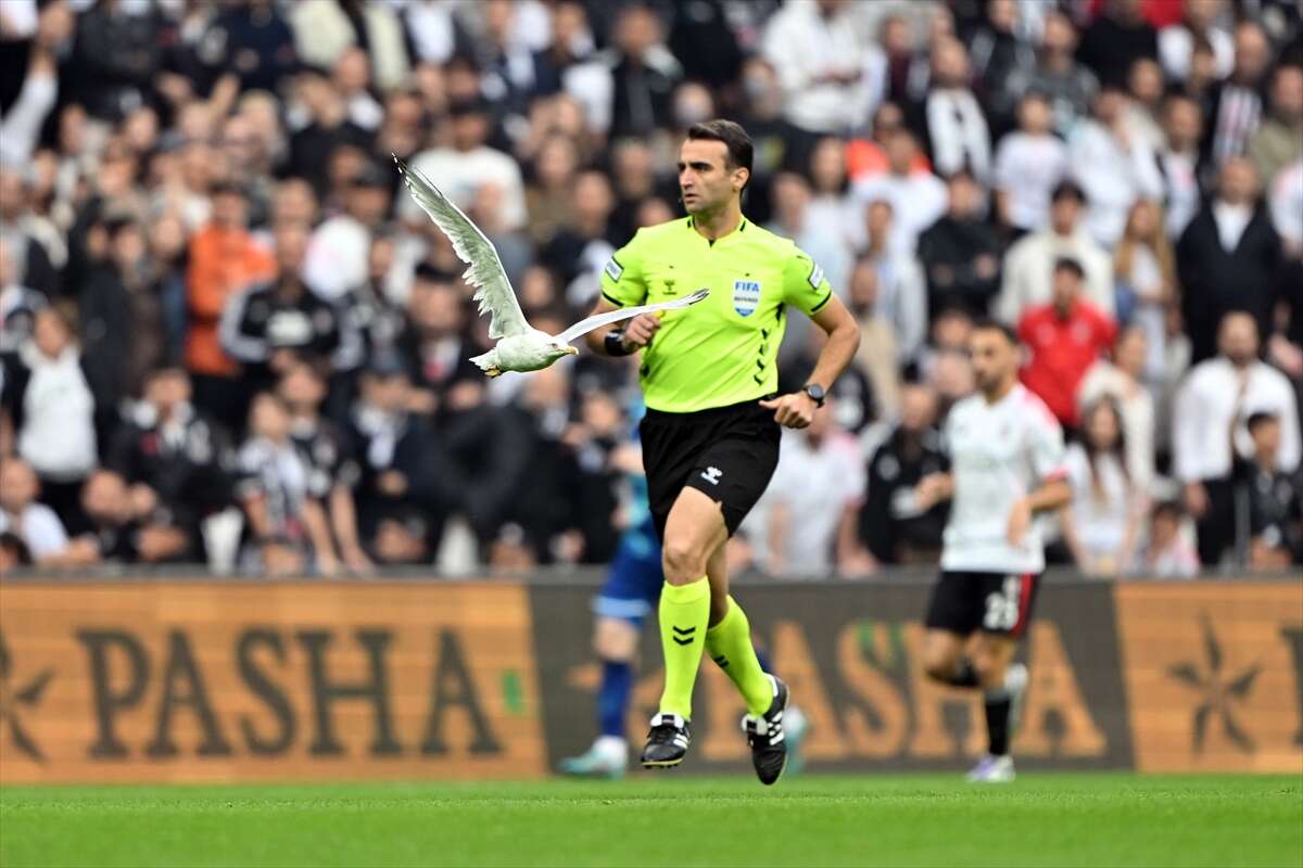 besiktas-var-kayitlarini-izledikten-sonra-hakemi-hedef-aldi