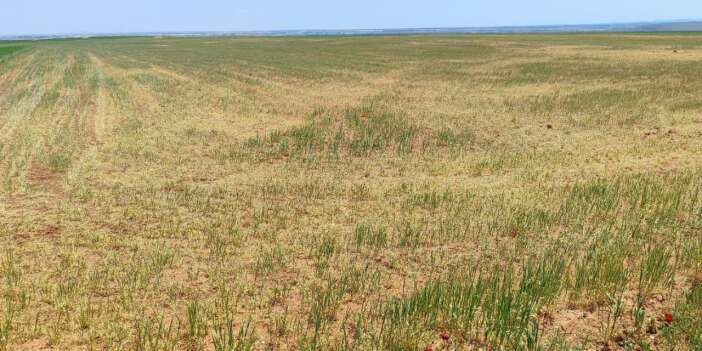 bursa-balikesir-rekor-kirdi-konya-kuruya-dondu