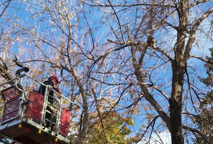 konyada-mahsur-kalan-kedi-kurtarildi-kurtarilma-ani-kameralarda