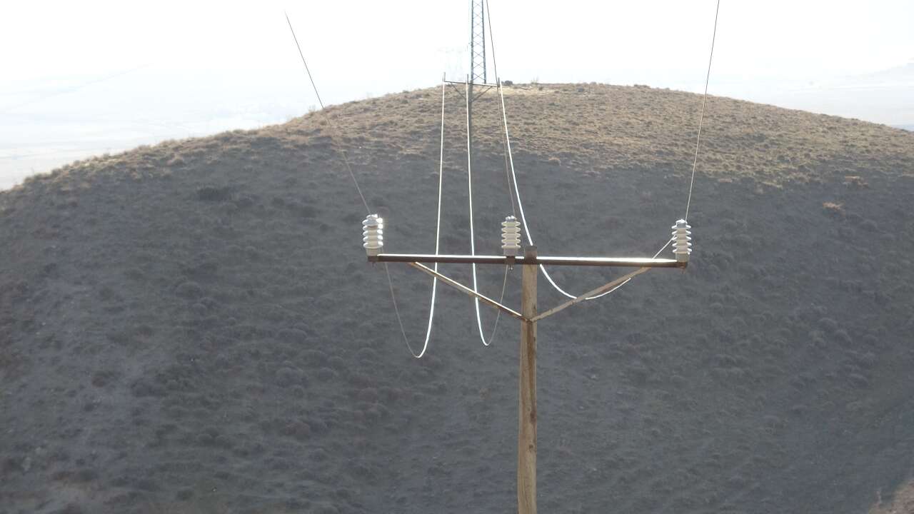 hayvanlarini-otlatan-besici-hayatinin-sokunu-yasadi-6-tilki-3-yaban-domuzu