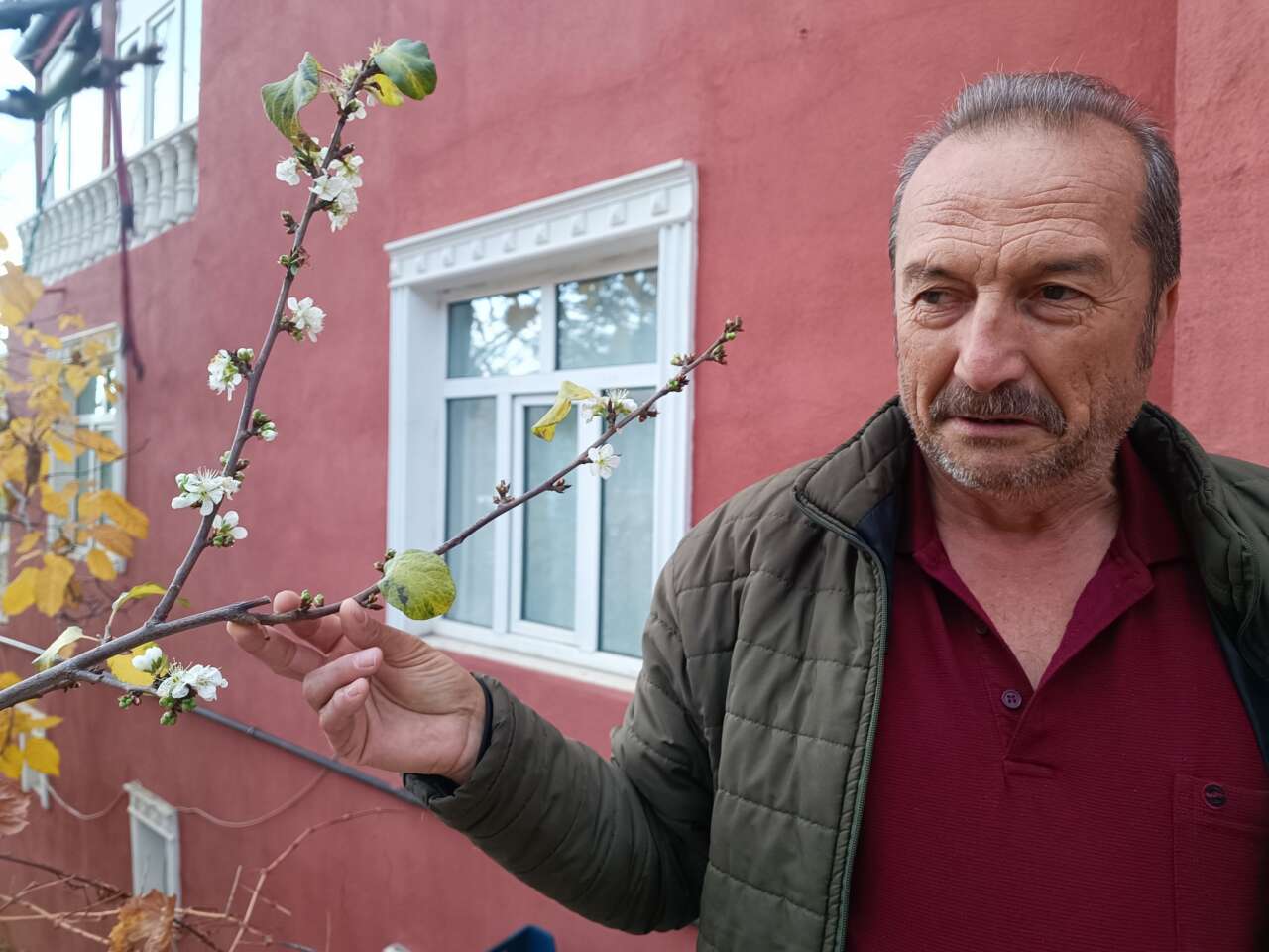 konyada-sasirtan-goruntu-erik-agaci-kasim-sonunda-cicek-acti