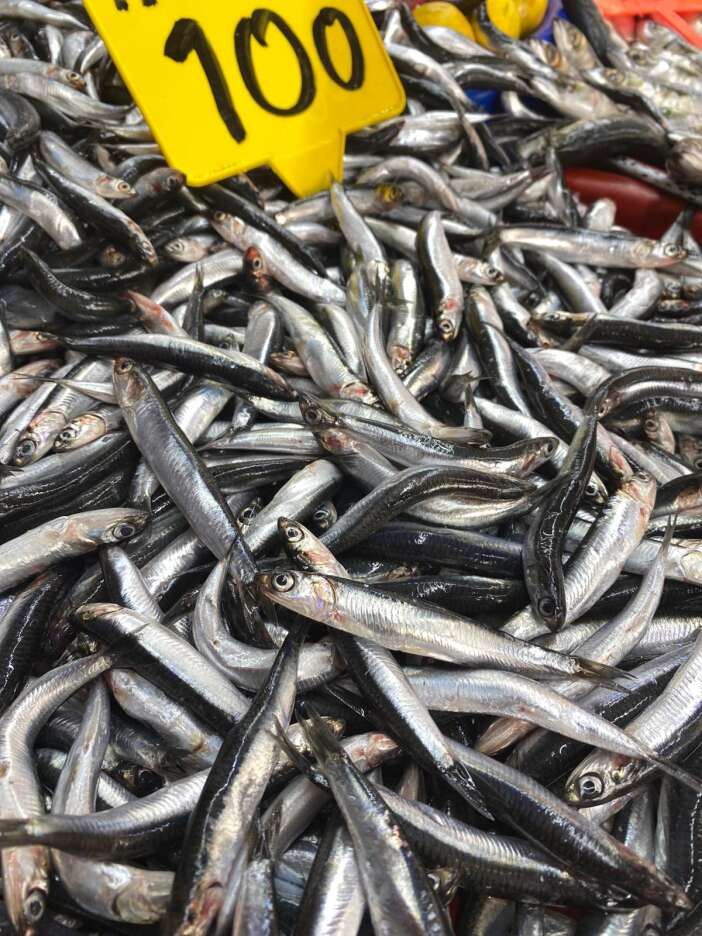 konyada-uzmani-taze-balik-secmenin-yollarini-anlatti