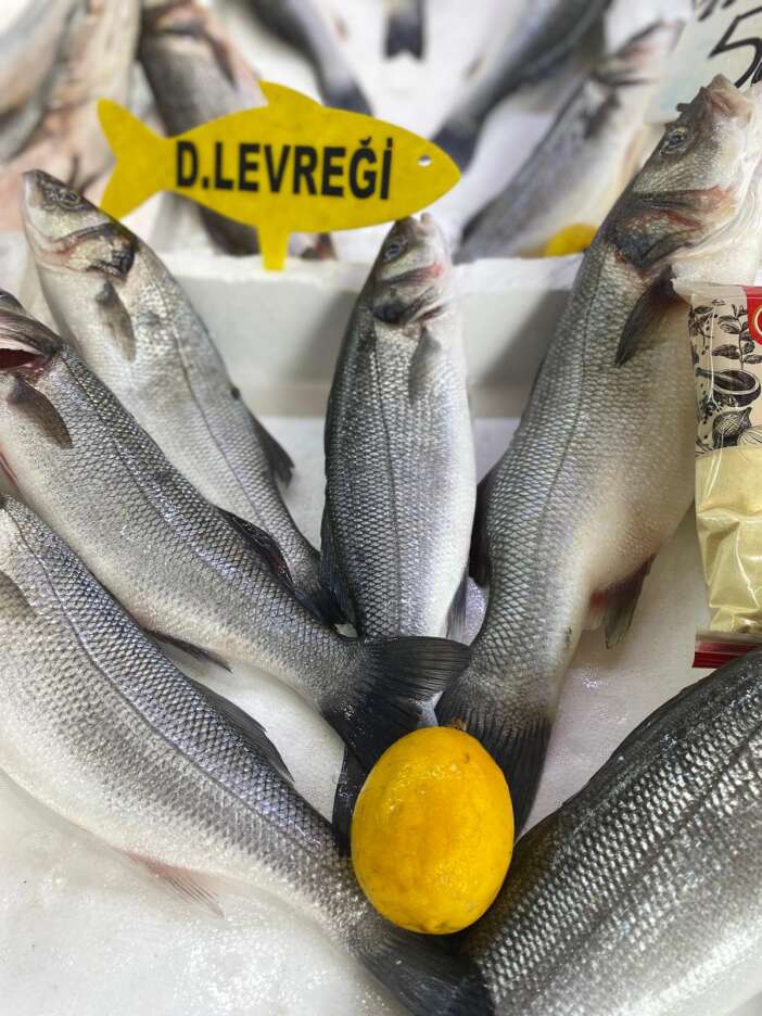 konyada-uzmani-taze-balik-secmenin-yollarini-anlatti-1