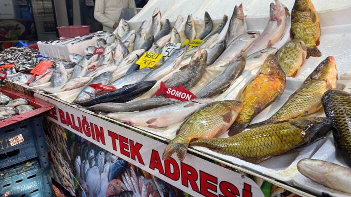 whatsapp-image-2025-11-26-at-13-54-02-2