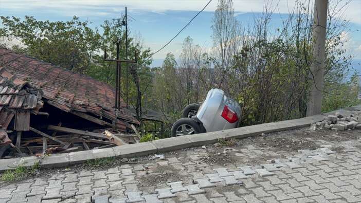 evin-catisina-otomobil-dustu