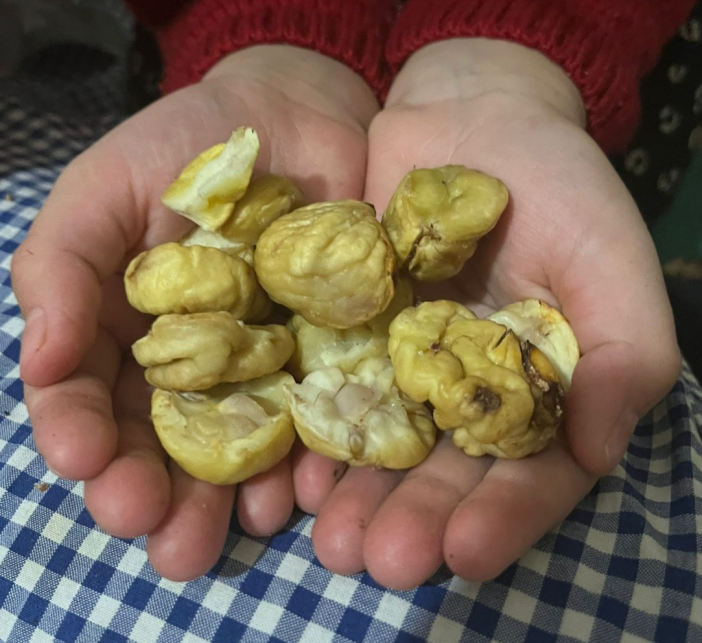 havalar-sogudu-konyalilar-sezonu-acti