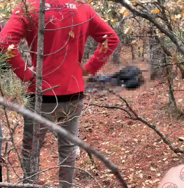 konyada-6-gundur-aranan-berk-ivacik-olu-bulundu