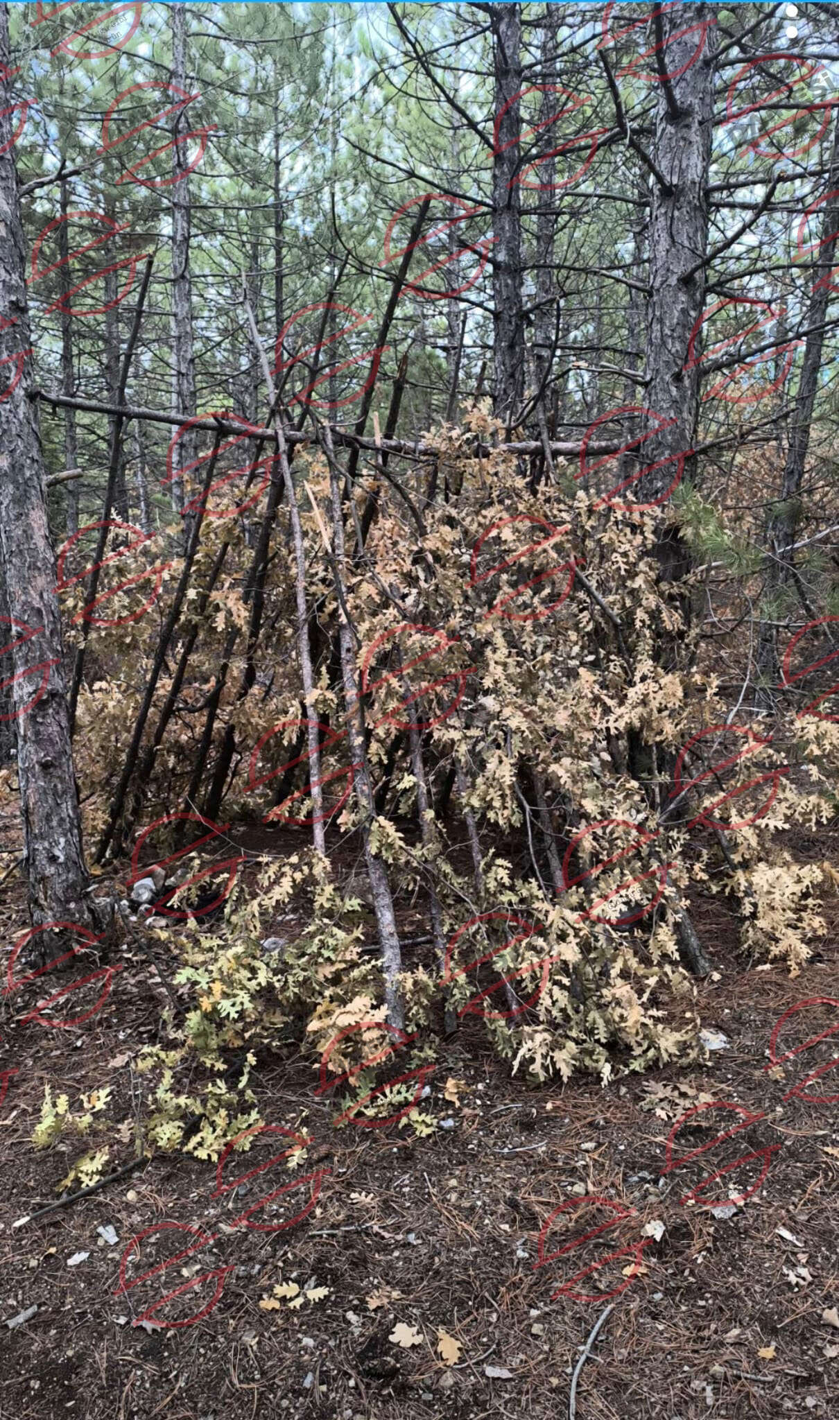 konyada-6-gundur-aranan-berk-ivacik-olu-bulundu