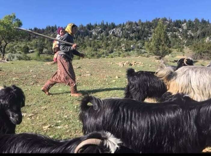 havalarin-sogudugu-konyada-yorukler-icin-goc-zamani